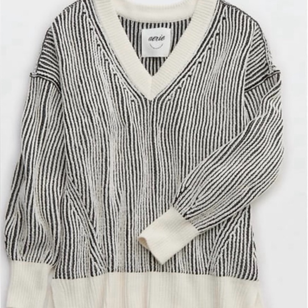 aerie beyond chenille v-neck sweater